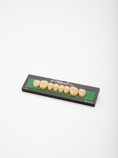 Creopal Shell Posterior