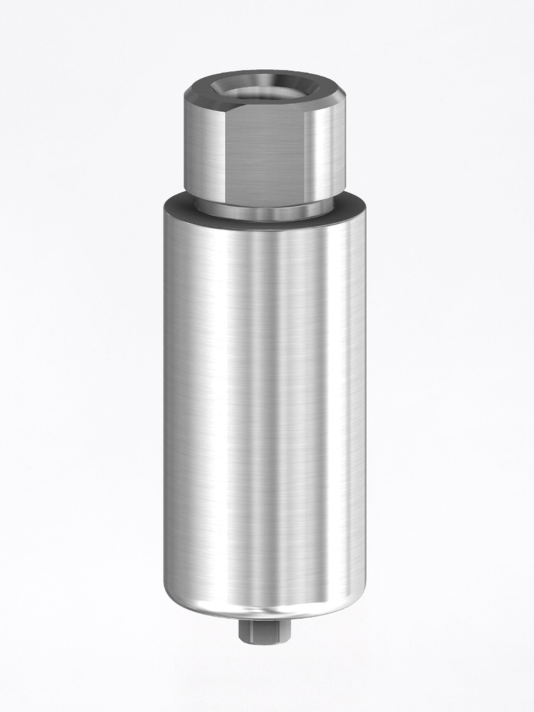 Premilled Internal Hex BH