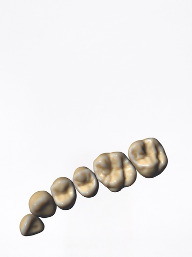 DentalCAD - Modulo ZRS Tooth Library Flex