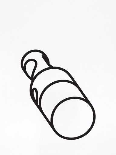 Mini-SG® Chiavistello Pin di chiusura T esteso