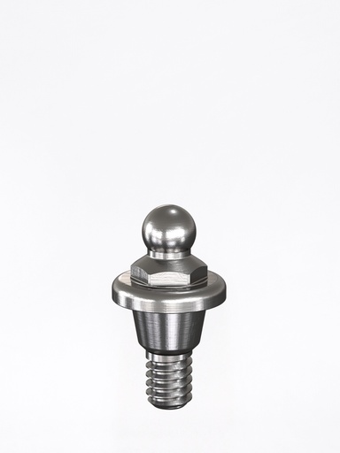 Dalbo® Abutment Straumann®